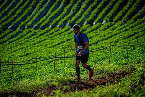 BIB: 
                            <button type="button" onclick="openModal(19160744)" class="btn btn-primary btn-sm float-right btn-popup" data-toggle="modal" data-target=".modal-high-quality">
                        <i class="fas fa-shopping-cart"></i> Add to Cart
                    </button>
                                            <button type="button" onclick="isThisMe(19160744, true)" class="btn btn-success btn-sm float-right btn-popup btn-isme hidden" data-toggle="tooltip" data-placement="bottom" title="นี่คือรูปของคุณใช่ไหม คลิกที่นี่เพื่อเอาเข้าอัลบั้ม">
                        <i class="fas fa-plus"></i> Add to album
                    </button>
                    <button type="button" onclick="isThisMe(19160744, false)" class="btn btn-warning btn-sm float-right btn-popup btn-isnotme hidden">
                        <i class="fas fa-ban"></i> Remove from album
                    </button>